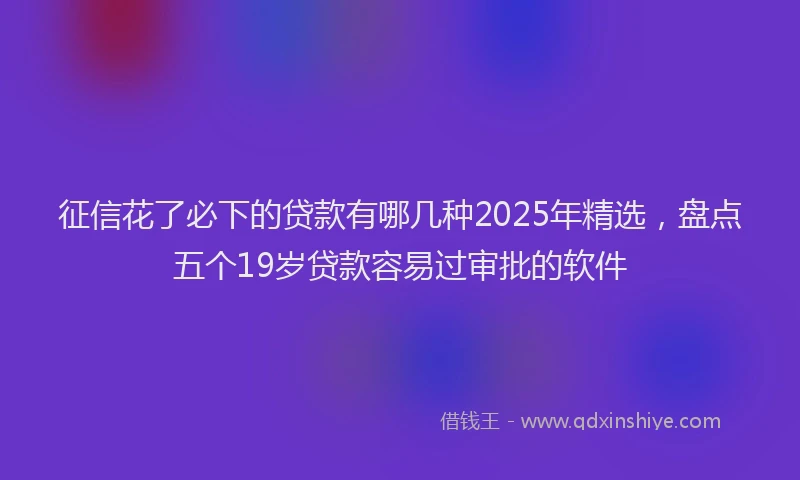 征信花了必下的贷款有哪几种2025年精选，盘点五个19岁贷款容易过审批的软件