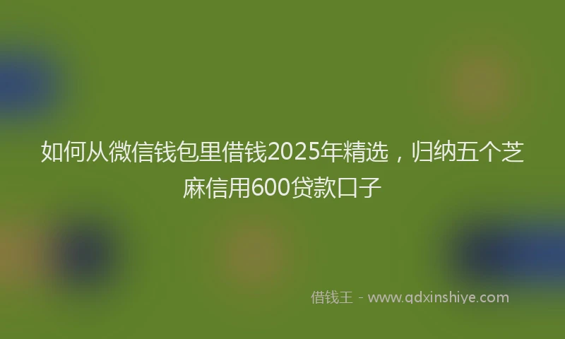 如何从微信钱包里借钱2025年精选，归纳五个芝麻信用600贷款口子