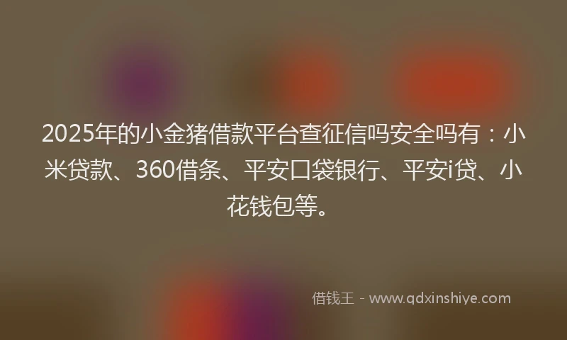 2025年的小金猪借款平台查征信吗安全吗有：小米贷款、360借条、平安口袋银行、平安i贷、小花钱包等。