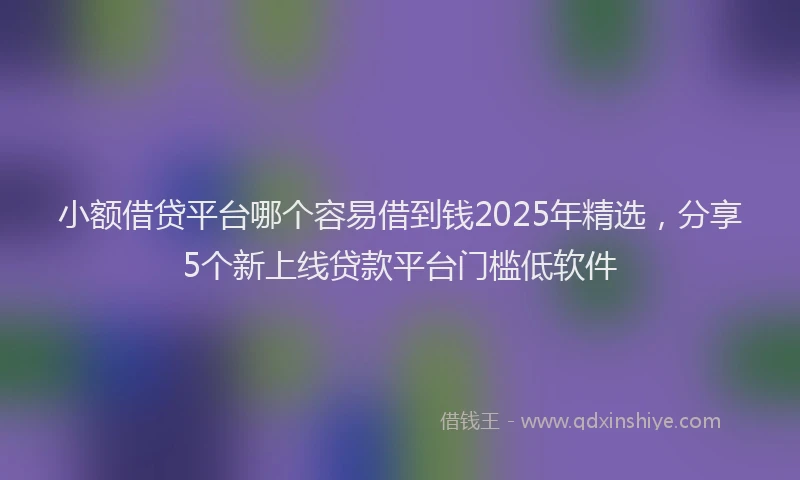 小额借贷平台哪个容易借到钱2025年精选，分享5个新上线贷款平台门槛低软件