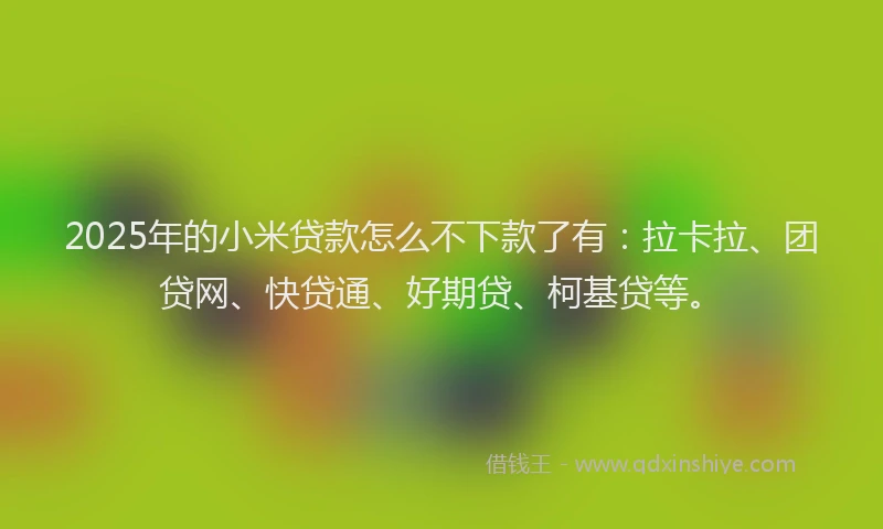 2025年的小米贷款怎么不下款了有：拉卡拉、团贷网、快贷通、好期贷、柯基贷等。