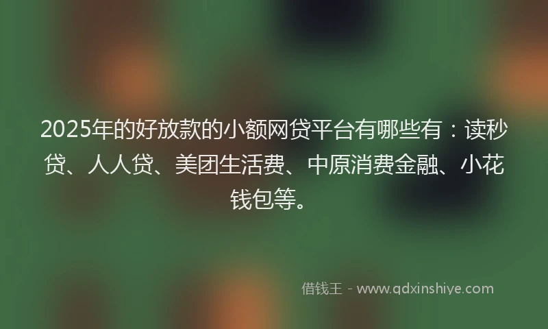 2025年的好放款的小额网贷平台有哪些有：读秒贷、人人贷、美团生活费、中原消费金融、小花钱包等。