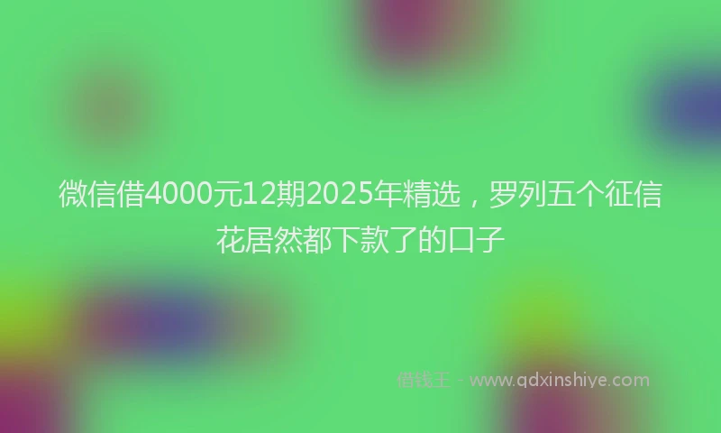 微信借4000元12期2025年精选，罗列五个征信花居然都下款了的口子