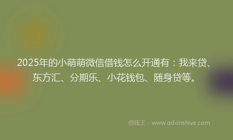 2025年的小萌萌微信借钱怎么开通有：我来贷、东方汇、分期乐、小花钱包、随身贷等。