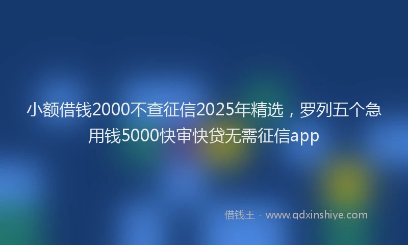 小额借钱2000不查征信2025年精选，罗列五个急用钱5000快审快贷无需征信app