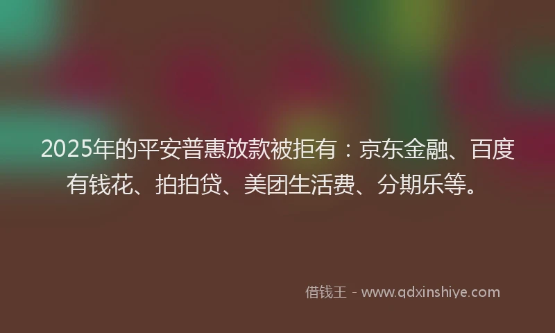 2025年的平安普惠放款被拒有：京东金融、百度有钱花、拍拍贷、美团生活费、分期乐等。