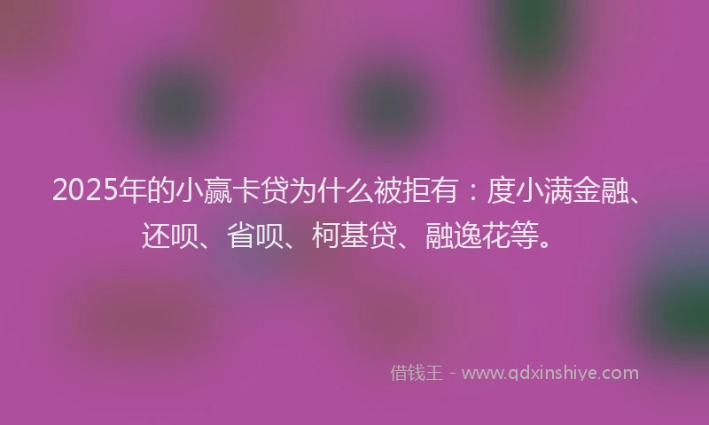 2025年的小赢卡贷为什么被拒有：度小满金融、还呗、省呗、柯基贷、融逸花等。