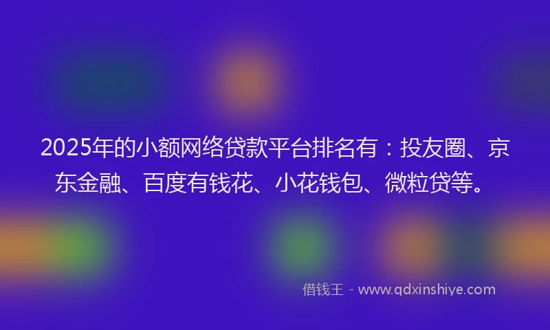 2025年的小额网络贷款平台排名有：投友圈、京东金融、百度有钱花、小花钱包、微粒贷等。