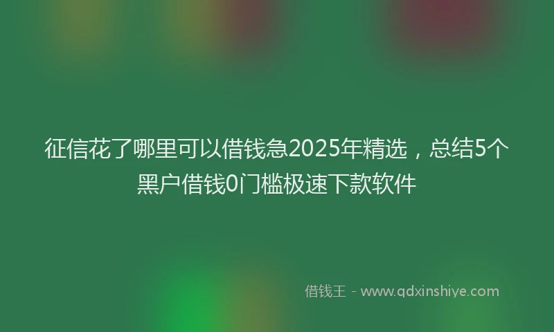 征信花了哪里可以借钱急2025年精选，总结5个黑户借钱0门槛极速下款软件