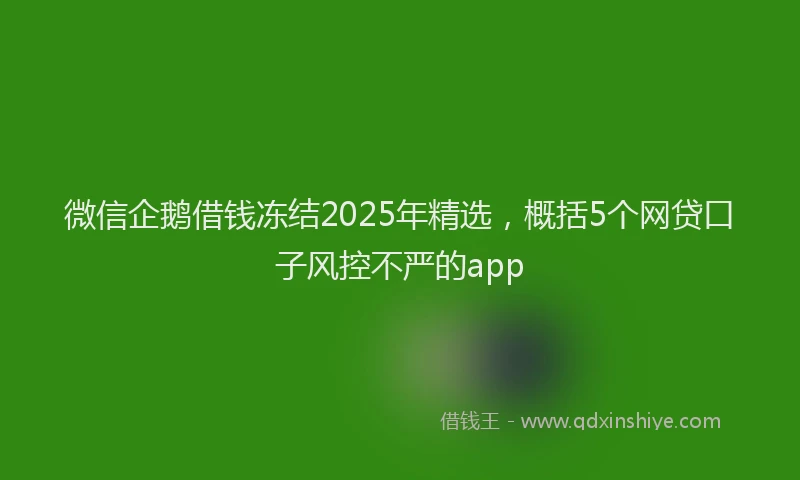 微信企鹅借钱冻结2025年精选，概括5个网贷口子风控不严的app