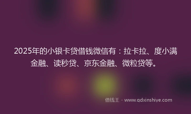 2025年的小银卡贷借钱微信有：拉卡拉、度小满金融、读秒贷、京东金融、微粒贷等。