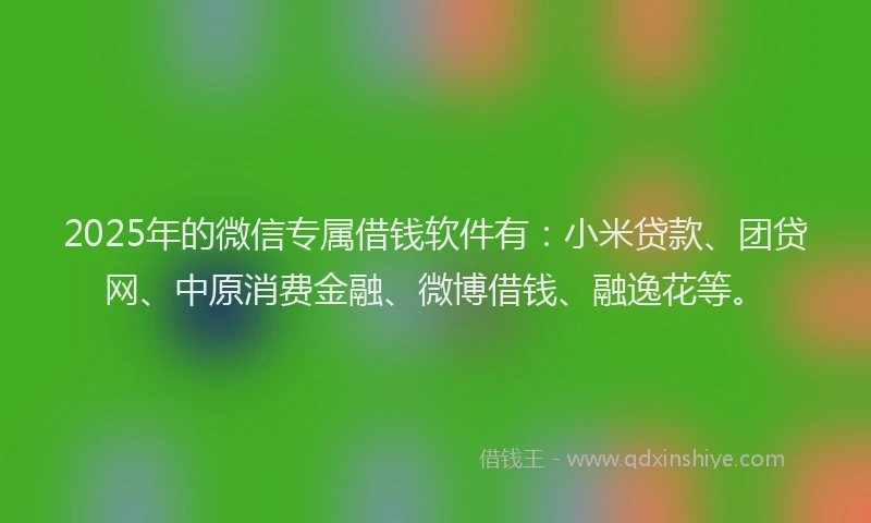 2025年的微信专属借钱软件有：小米贷款、团贷网、中原消费金融、微博借钱、融逸花等。