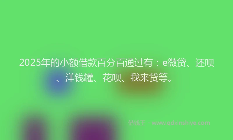 2025年的小额借款百分百通过有：e微贷、还呗、洋钱罐、花呗、我来贷等。