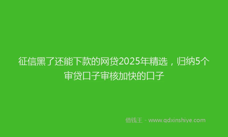 征信黑了还能下款的网贷2025年精选，归纳5个审贷口子审核加快的口子