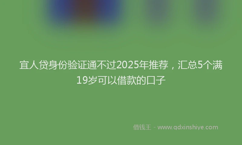宜人贷身份验证通不过2025年推荐，汇总5个满19岁可以借款的口子