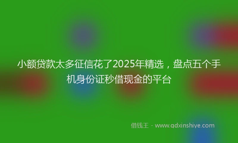 小额贷款太多征信花了2025年精选，盘点五个手机身份证秒借现金的平台