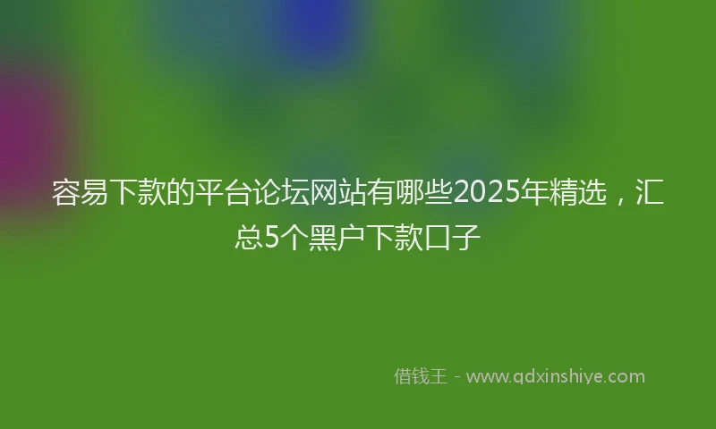 容易下款的平台论坛网站有哪些2025年精选，汇总5个黑户下款口子