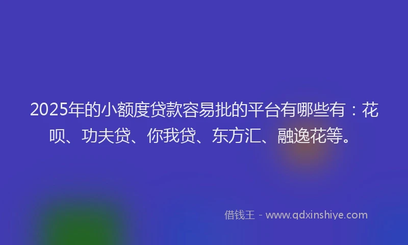 2025年的小额度贷款容易批的平台有哪些有：花呗、功夫贷、你我贷、东方汇、融逸花等。