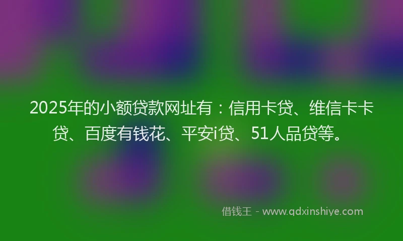2025年的小额贷款网址有：信用卡贷、维信卡卡贷、百度有钱花、平安i贷、51人品贷等。