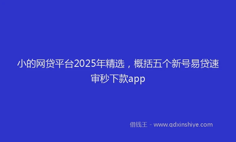 小的网贷平台2025年精选，概括五个新号易贷速审秒下款app