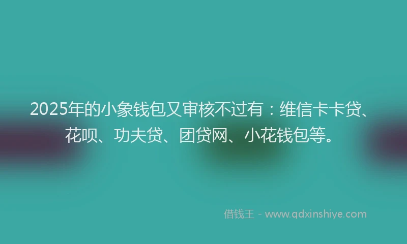 2025年的小象钱包又审核不过有：维信卡卡贷、花呗、功夫贷、团贷网、小花钱包等。