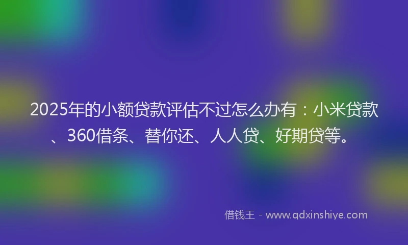 2025年的小额贷款评估不过怎么办有：小米贷款、360借条、替你还、人人贷、好期贷等。