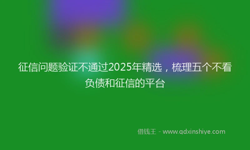 征信问题验证不通过2025年精选，梳理五个不看负债和征信的平台