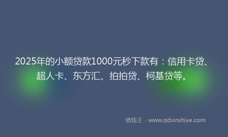 2025年的小额贷款1000元秒下款有：信用卡贷、超人卡、东方汇、拍拍贷、柯基贷等。