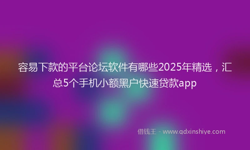 容易下款的平台论坛软件有哪些2025年精选，汇总5个手机小额黑户快速贷款app