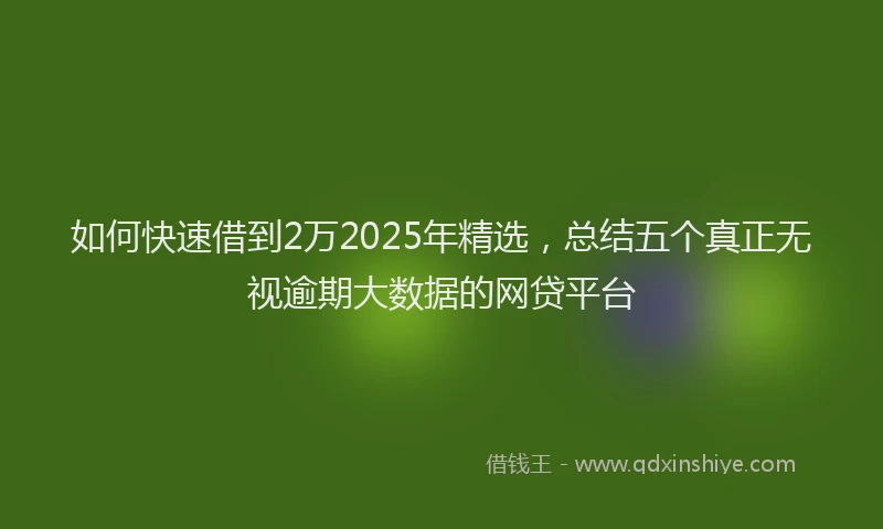 如何快速借到2万2025年精选，总结五个真正无视逾期大数据的网贷平台