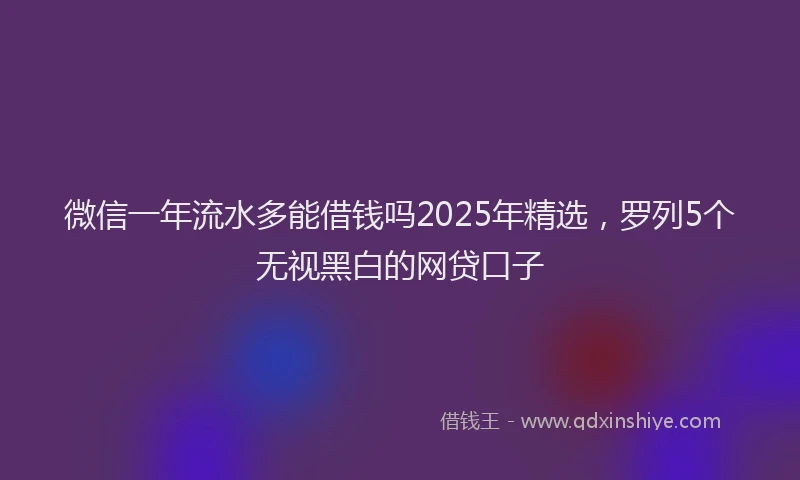 微信一年流水多能借钱吗2025年精选，罗列5个无视黑白的网贷口子