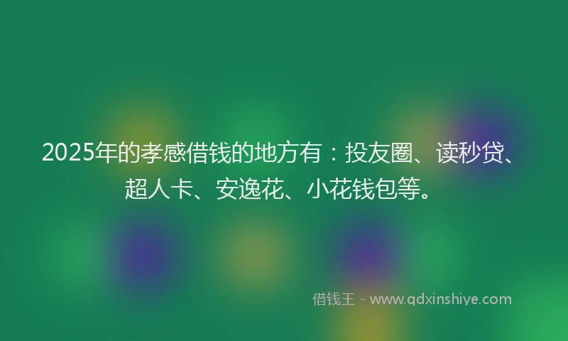 2025年的孝感借钱的地方有：投友圈、读秒贷、超人卡、安逸花、小花钱包等。