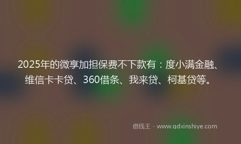 2025年的微享加担保费不下款有：度小满金融、维信卡卡贷、360借条、我来贷、柯基贷等。