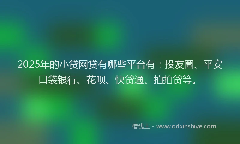 2025年的小贷网贷有哪些平台有：投友圈、平安口袋银行、花呗、快贷通、拍拍贷等。