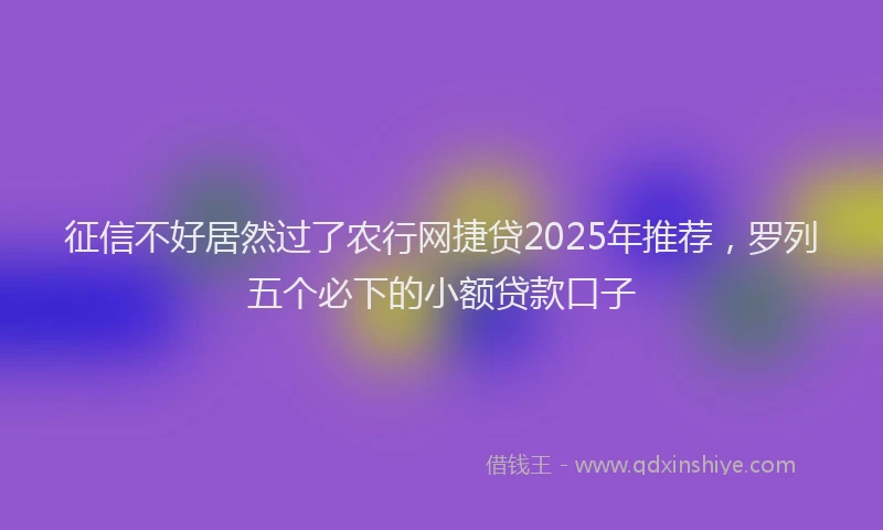 征信不好居然过了农行网捷贷2025年推荐，罗列五个必下的小额贷款口子