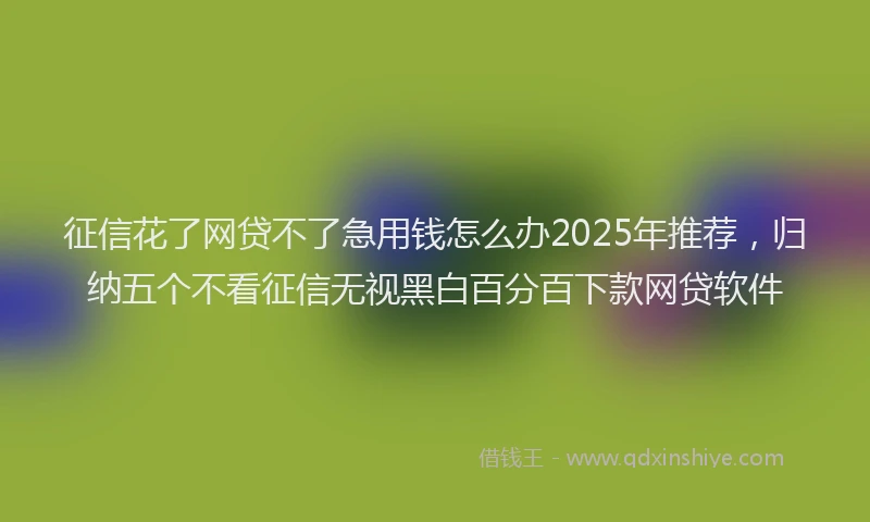 征信花了网贷不了急用钱怎么办2025年推荐，归纳五个不看征信无视黑白百分百下款网贷软件