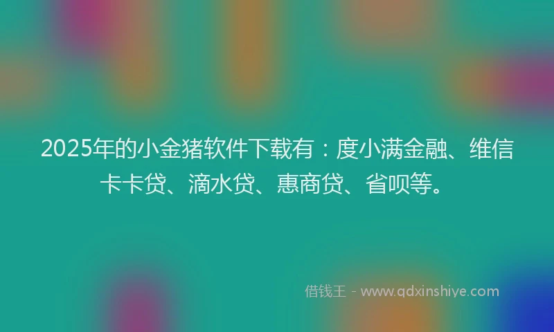 2025年的小金猪软件下载有：度小满金融、维信卡卡贷、滴水贷、惠商贷、省呗等。