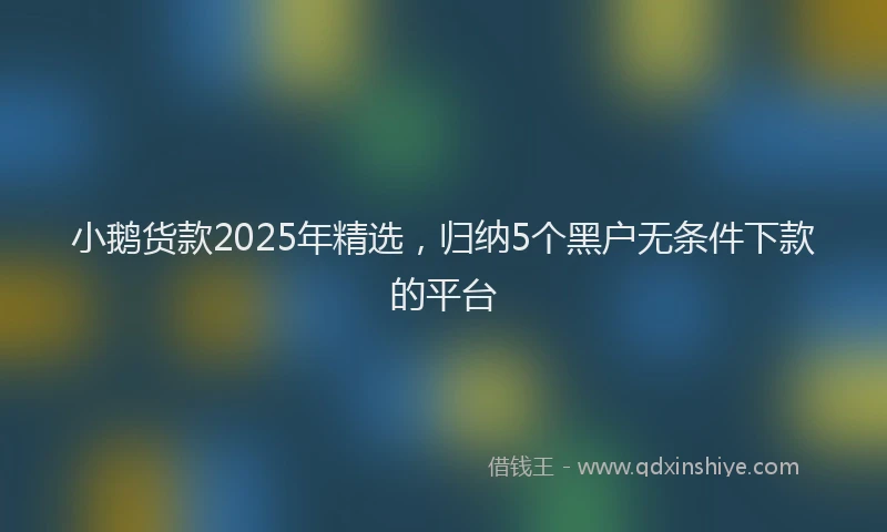 小鹅货款2025年精选，归纳5个黑户无条件下款的平台