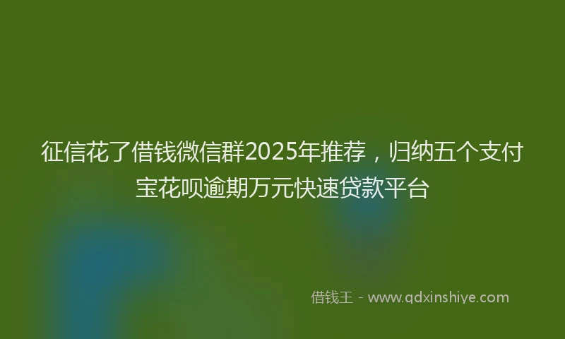 征信花了借钱微信群2025年推荐，归纳五个支付宝花呗逾期万元快速贷款平台