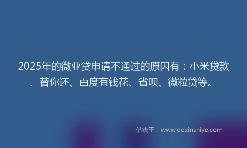 2025年的微业贷申请不通过的原因有：小米贷款、替你还、百度有钱花、省呗、微粒贷等。