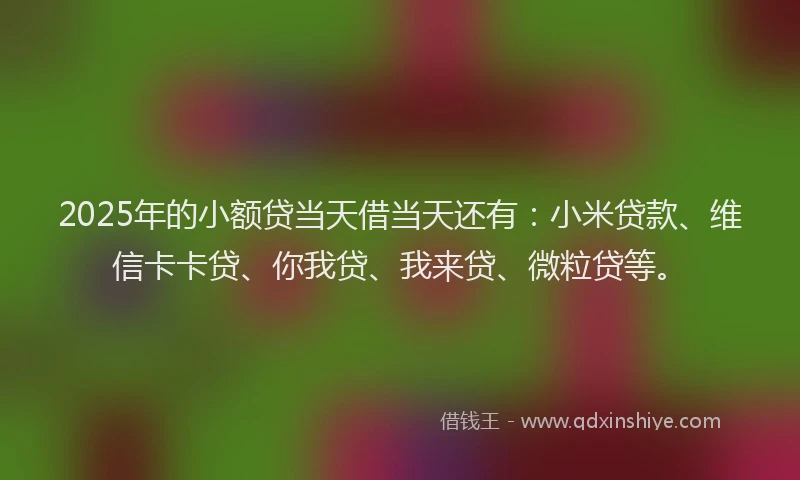 2025年的小额贷当天借当天还有：小米贷款、维信卡卡贷、你我贷、我来贷、微粒贷等。