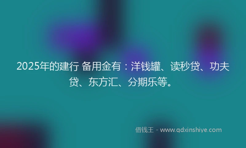 2025年的建行 备用金有：洋钱罐、读秒贷、功夫贷、东方汇、分期乐等。