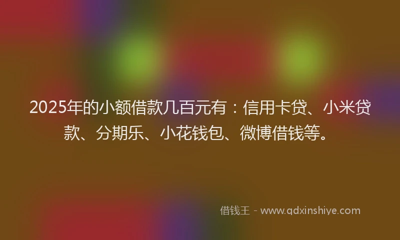 2025年的小额借款几百元有：信用卡贷、小米贷款、分期乐、小花钱包、微博借钱等。
