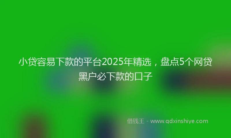 小贷容易下款的平台2025年精选，盘点5个网贷黑户必下款的口子
