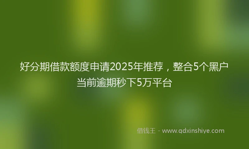 好分期借款额度申请2025年推荐，整合5个黑户当前逾期秒下5万平台