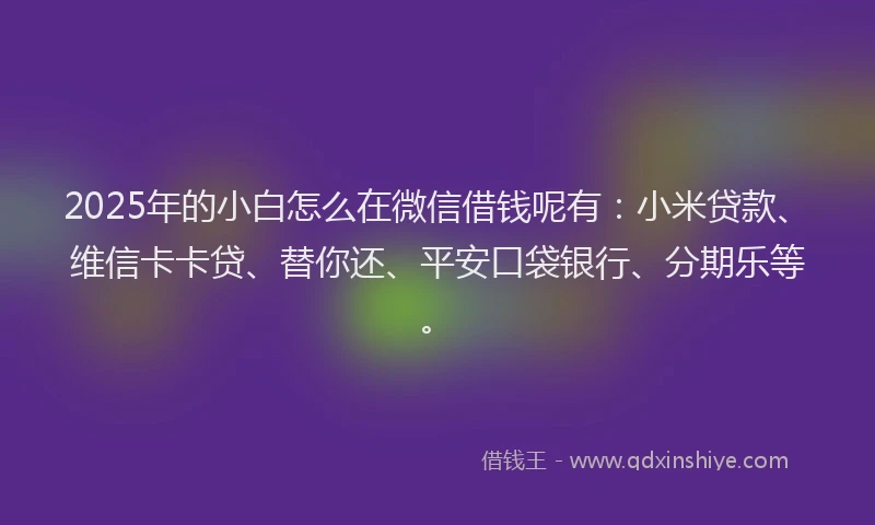 2025年的小白怎么在微信借钱呢有：小米贷款、维信卡卡贷、替你还、平安口袋银行、分期乐等。