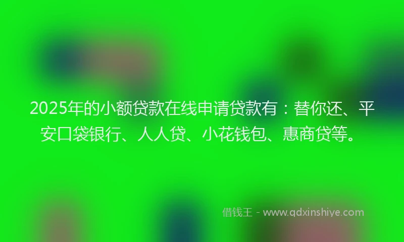 2025年的小额贷款在线申请贷款有：替你还、平安口袋银行、人人贷、小花钱包、惠商贷等。