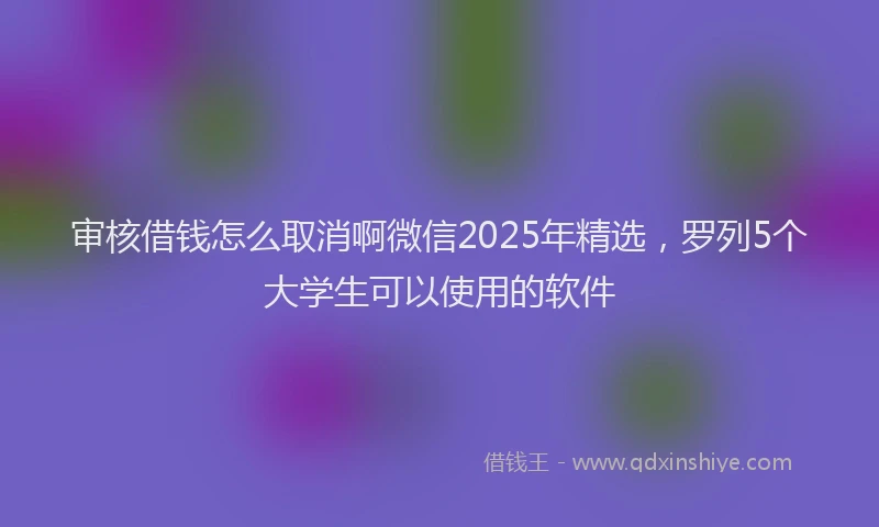 审核借钱怎么取消啊微信2025年精选，罗列5个大学生可以使用的软件