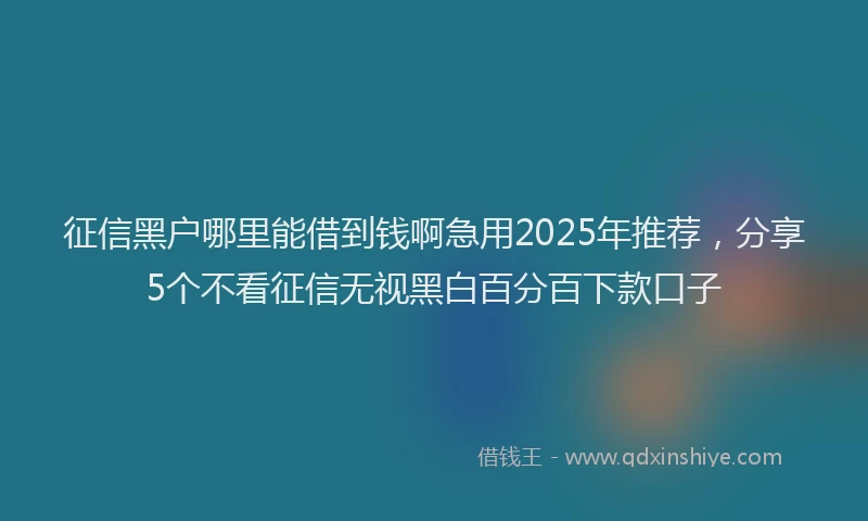 征信黑户哪里能借到钱啊急用2025年推荐，分享5个不看征信无视黑白百分百下款口子