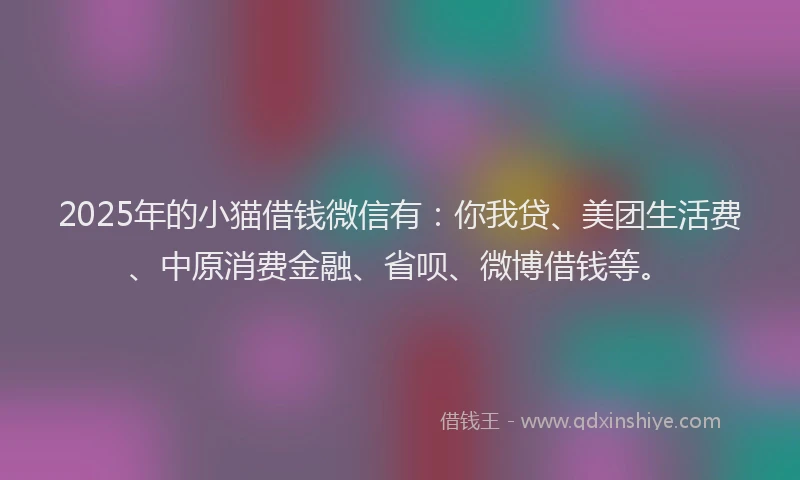 2025年的小猫借钱微信有：你我贷、美团生活费、中原消费金融、省呗、微博借钱等。